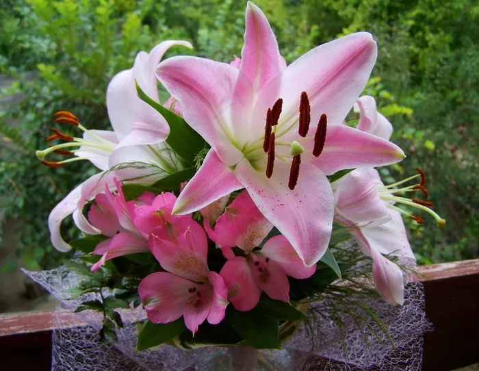 鲜花花束，粉色百合，切花