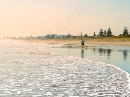 树,草地,天空,轿车,地板砖,沙滩赛跑者