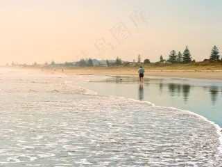 树,草地,天空,轿车,地板砖,沙滩赛跑者