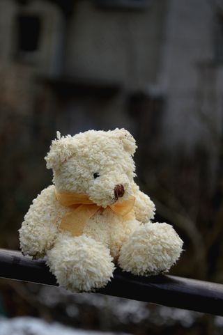 熊，毛绒，背景，冬季，杆，奶油，眼睛