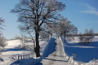 山，冬天，雪，性质，道路，树