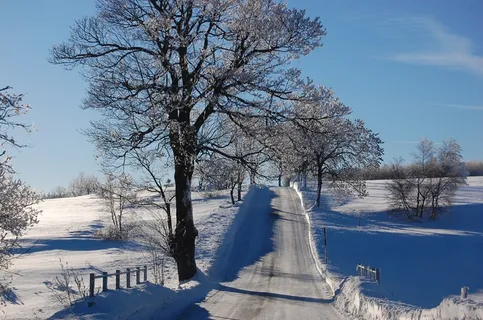山,冬天,雪,性质,道路,树 山,冬天,雪,性质,道路,树