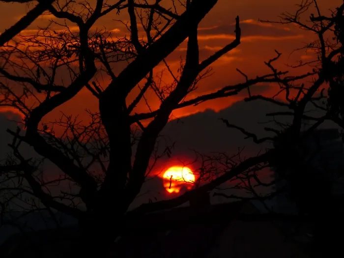 日落，太阳，天空，光，烧伤，发光，剪影