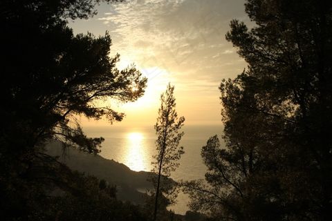 Abendstimmung，日落，水，浪漫，天空