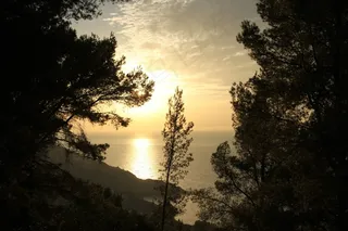 Abendstimmung，日落，水，浪漫，天空