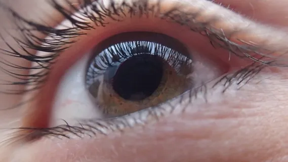 眼睛,人类,脸,视觉,看看,人,眼球,虹膜 眼睛,人类,脸,视觉,看看,人,眼球,虹膜