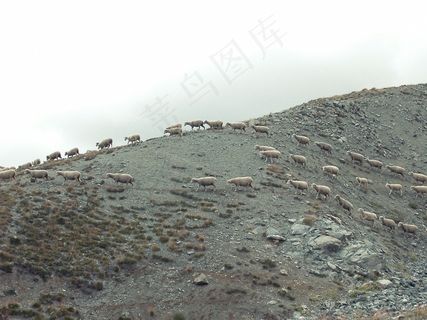 山峦,三关口,长城,贫瘦煤,塌方,小山动物羊