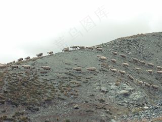 山峦,三关口,长城,贫瘦煤,塌方,小山动物羊