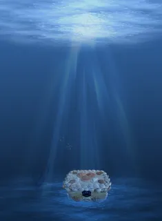 背景,海洋,创意照片,海,工艺品 背景,海洋,创意照片,海,工艺品