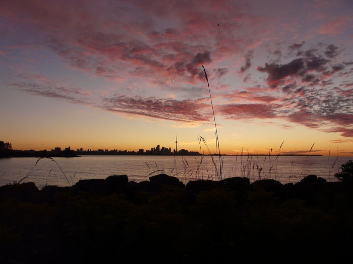 多伦多，湖泊，加拿大，安大略，天际线，水，日出