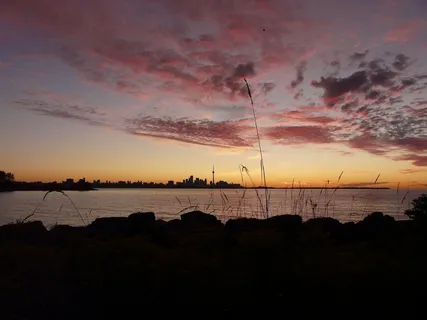 多伦多，湖泊，加拿大，安大略，天际线，水，日出