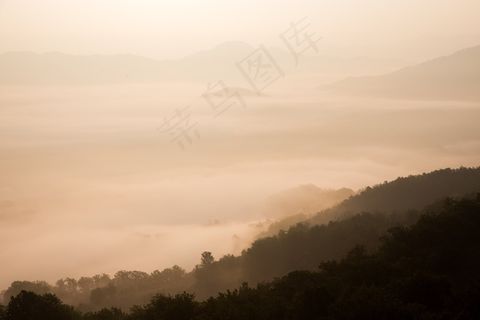 天空,山峦,树,风景,晨曦,黎明景观山森林