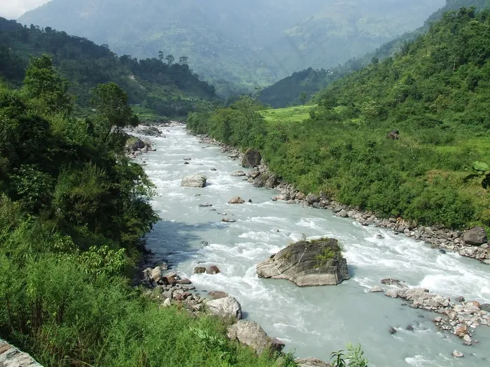 尼泊尔，安纳布尔纳峰，徒步旅行，森林，夏天，山