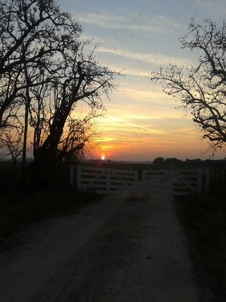 日落，场，地平线，云，景观，自然，黄昏