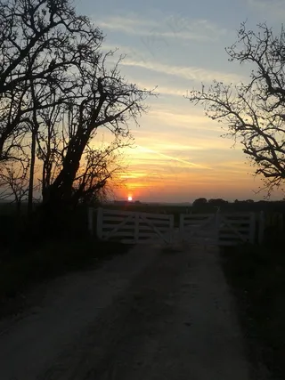 日落，场，地平线，云，景观，自然，黄昏