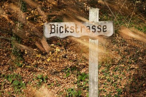 景观，森林，森林路径，路径名称，秋天