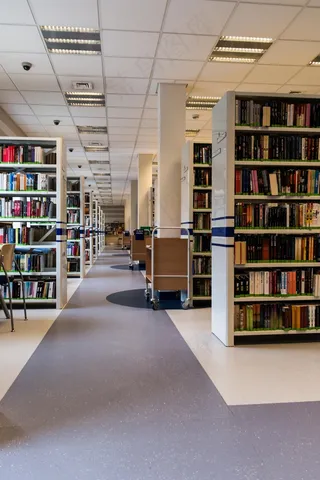 图书馆，书籍，阅读，教育，知识，租金