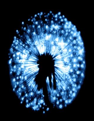 游乐场,烟花,烟花灯,烟花焰火,焰火晚会,魔法比比皆是-魔法光和种子头