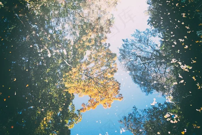 树,行政区划图,阳光森林,天空,雪花背景,树木倒映在湖中的地下图