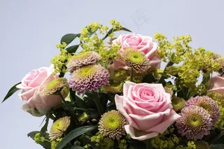 玫瑰，鲜花，春天，性质，植物，菊花