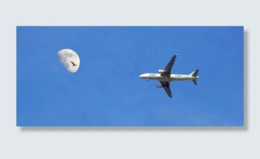 飞机,月亮,Ceu,蓝天,海鸥,天,性质 飞机,月亮,Ceu,蓝天,海鸥,天,性质