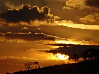 日落，地平线，云，风景