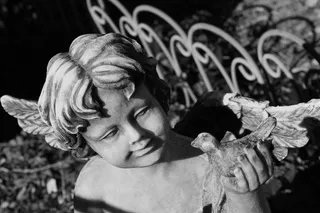 花园，雕像，雕塑，户外艺术，装饰