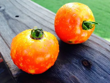 西红柿,蔬菜,花园,食品,新鲜,健康 西红柿,蔬菜,花园,食品,新鲜,健康