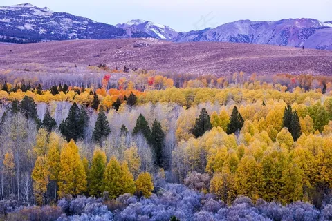 山,景观,秋季,树木,秋天,叶子 山,景观,秋季,树木,秋天,叶子