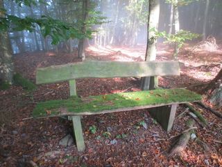 大自然，森林，秋季，景观，秋天的树林