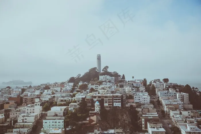 建筑，著名，圣，旧金山，美国，美国，科伊特