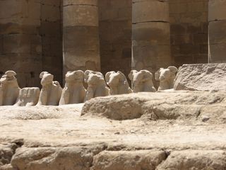 埃及，假日，太阳晒，旅游，法老，金字塔