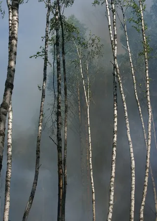 消防，养护，为养护燃烧，Båtfors