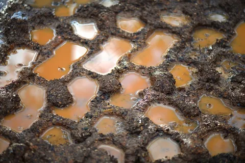 泥，地球，红色，自然，雨，冬天