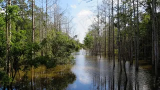 柬埔寨，吴哥，寺，历史，亚洲