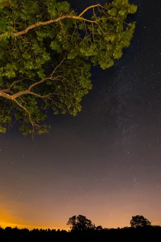 星星，夜晚，星空，天空，黑暗，风景，夏天