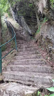 楼梯,石头,森林,栏杆,根,地面,路径 楼梯,石头,森林,栏杆,根,地面,路径