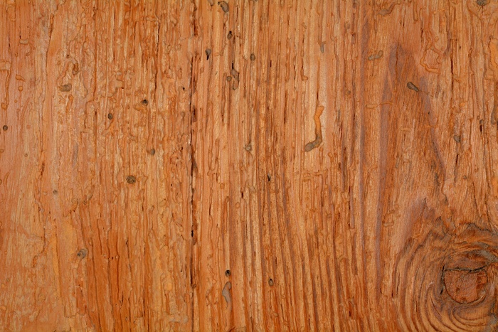 木材，结构，背景，粮食，纹理，棕色