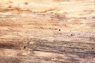 木材，结构，基金，山毛榉木，老，蠕虫