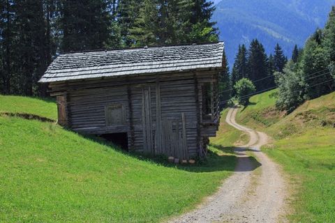 Stadl，离，景观，性质，草地，字段，径