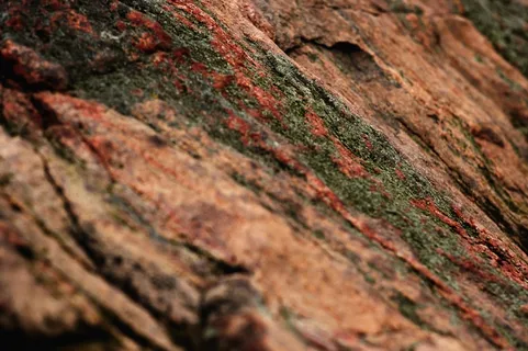 石头，岩石，项目，纹理，结构，表面