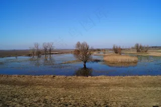 木头，水，风景，自然，天空，蓝色，大平原
