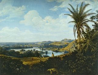 弗兰斯·波斯特（Frans Post），艺术，艺术，绘画，布面油画