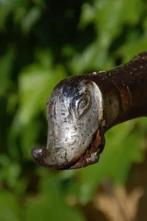 喷泉，动物，遗产