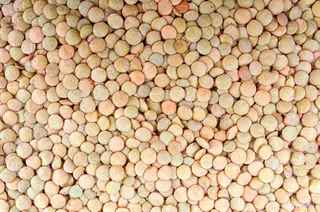 农业，背景，豆，棕色，美食，装饰