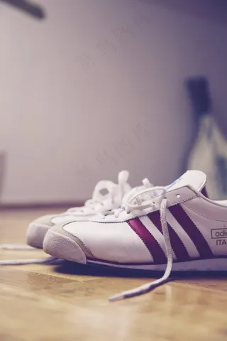 运动鞋，鞋子，鞋带，店，酿酒，体育