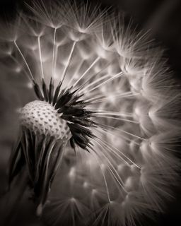 没关系，她努力地坚持下去