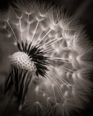 没关系，她努力地坚持下去