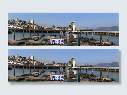 海狮，加利福尼亚，港口，旧金山，码头39