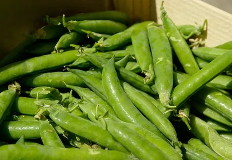 蔬菜,豌豆,维生素,市场 蔬菜,豌豆,维生素,市场